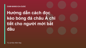 Read more about the article Hướng dẫn cách đọc kèo bóng đá châu Á chi tiết cho người mới bắt đầu
